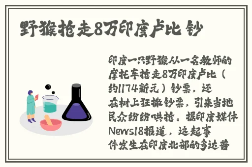 长弓燧龙原神芭芭拉